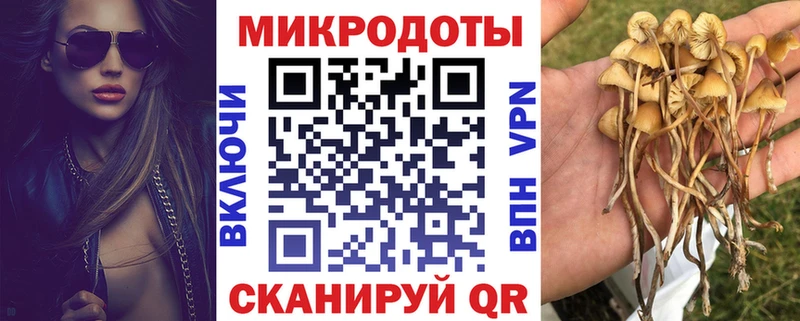 где купить наркоту  Александровск-Сахалинский  Псилоцибиновые грибы ЛСД 